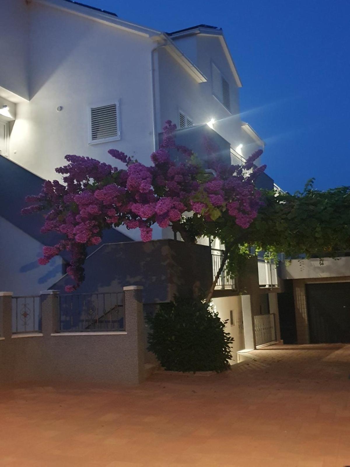 Apartment Bozovic Orebic Bagian luar foto